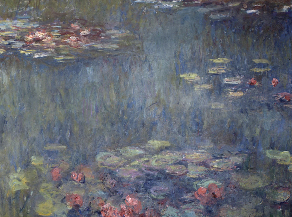 Détail des reflets verts et des fleurs roses dans la moitié droite du Bassin aux nymphéas
