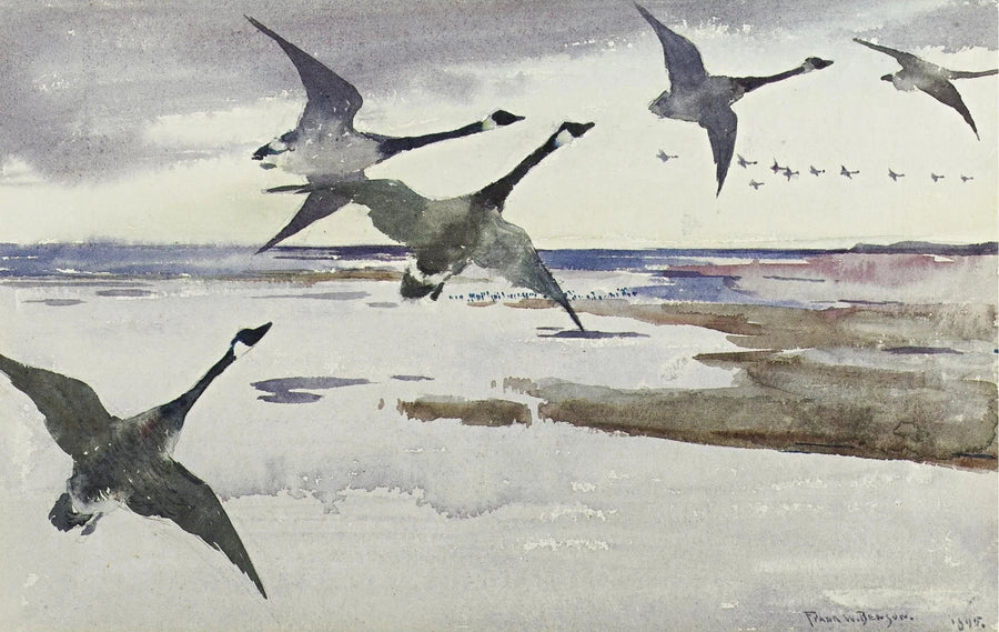Kanadagäss - Frank Weston Benson