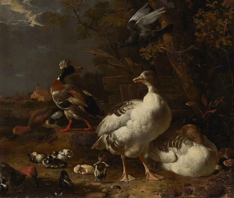 Gäss och änder - Melchior de Hondecoeter