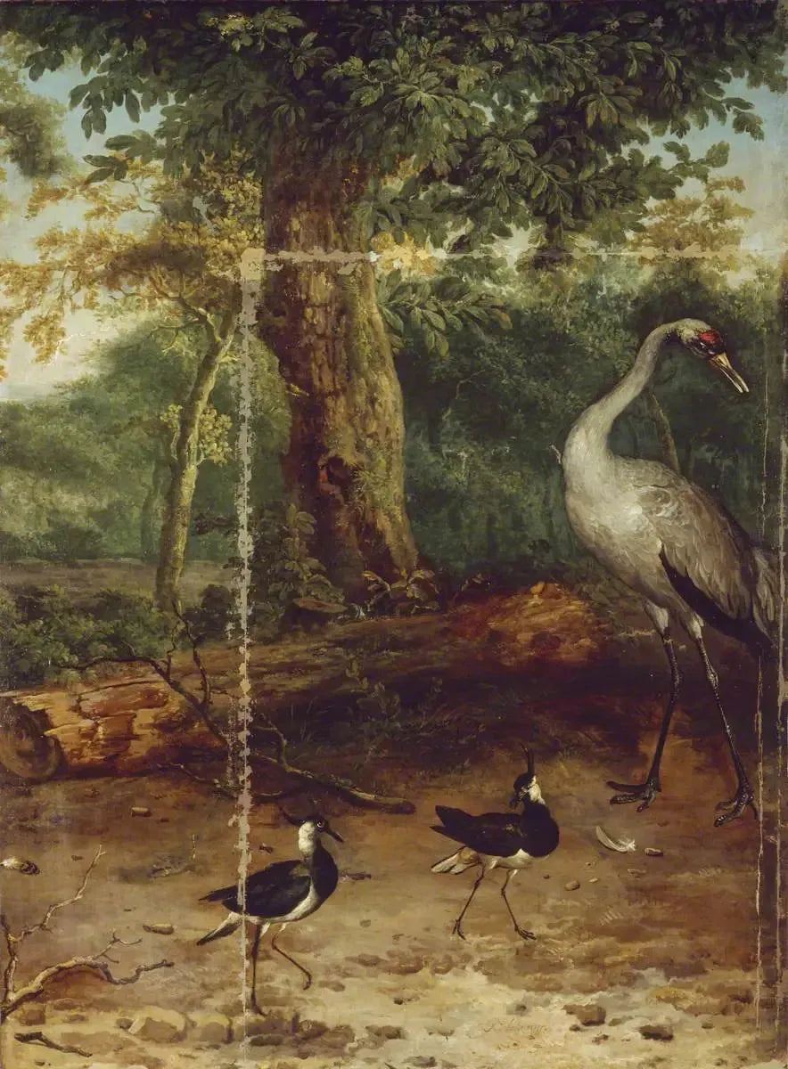 Fåglar i en skog - Melchior de Hondecoeter