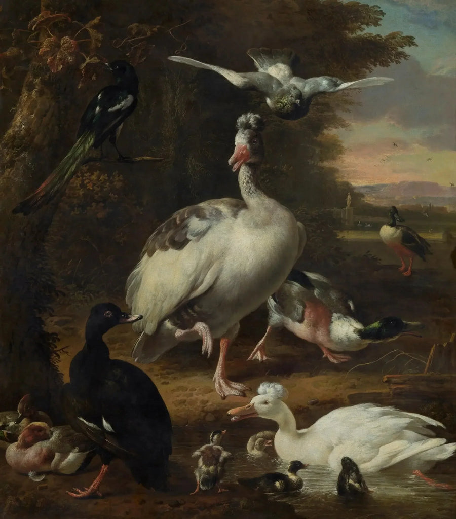 Fåglar - Melchior de Hondecoeter