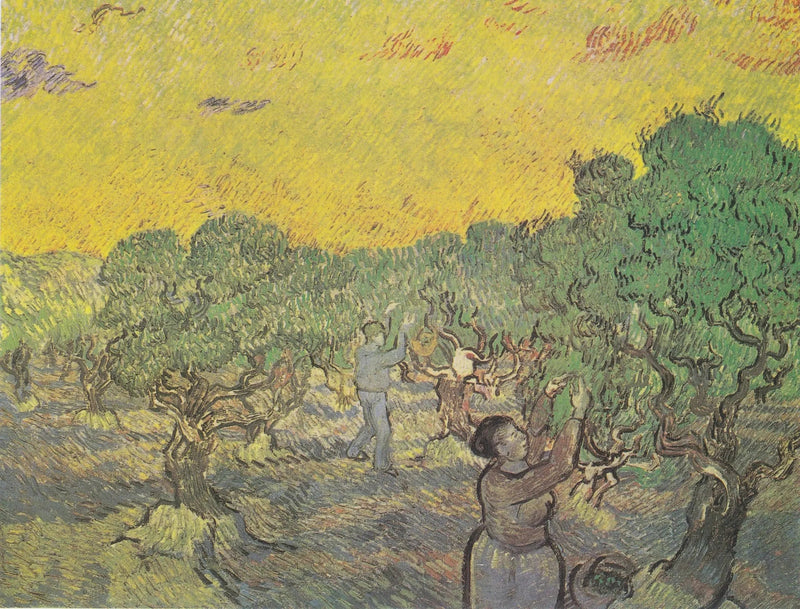 Olivlund med plockfigurer - Vincent van Gogh