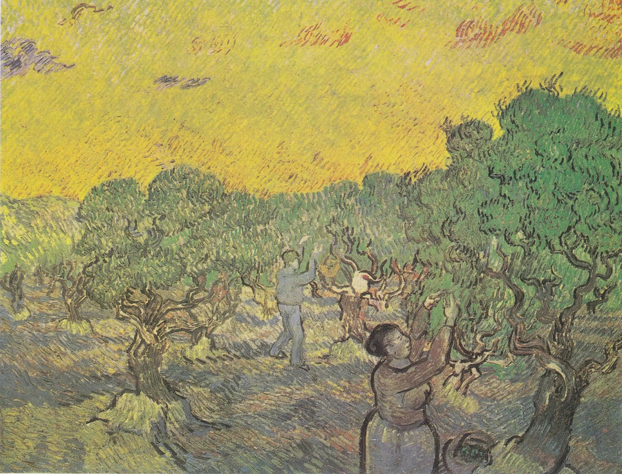 Olivlund med plockfigurer - Vincent van Gogh