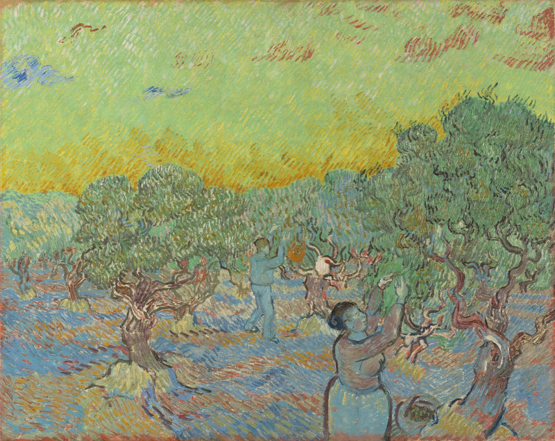 Olivlund med plockfigurer - Vincent van Gogh
