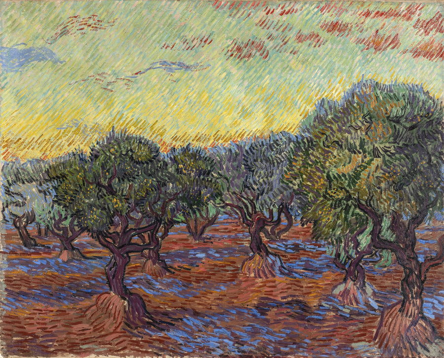 Oliveraie, Saint-Rémy - Vincent van Gogh