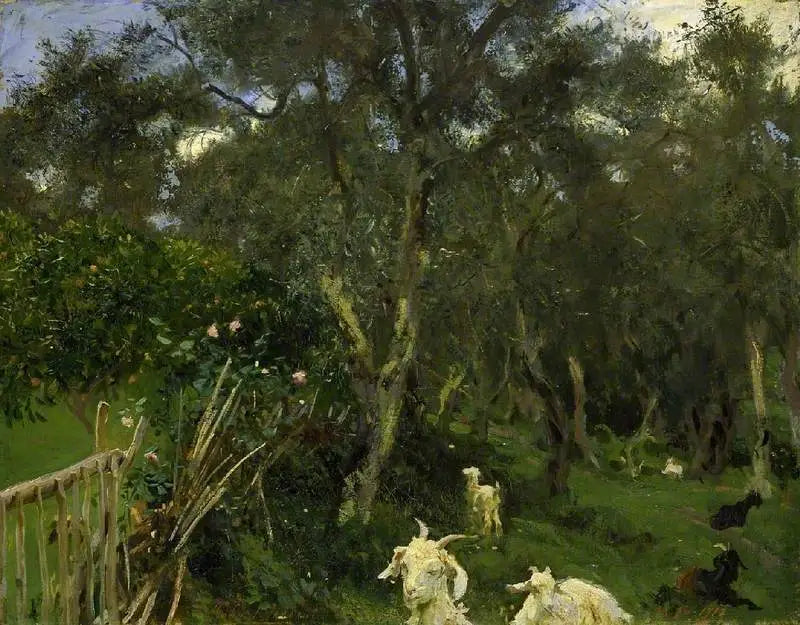 Olivträd i Korfu - John Singer Sargent