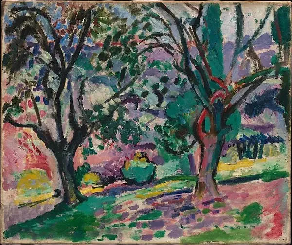Olivträd i Collioure - Henri Matisse