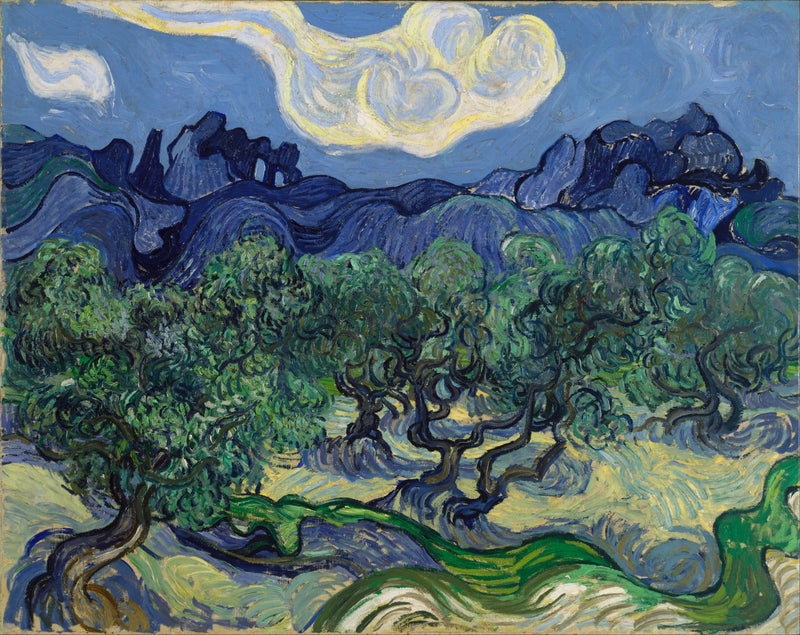 Olivträd med Alpillerna i bakgrunden - Vincent van Gogh