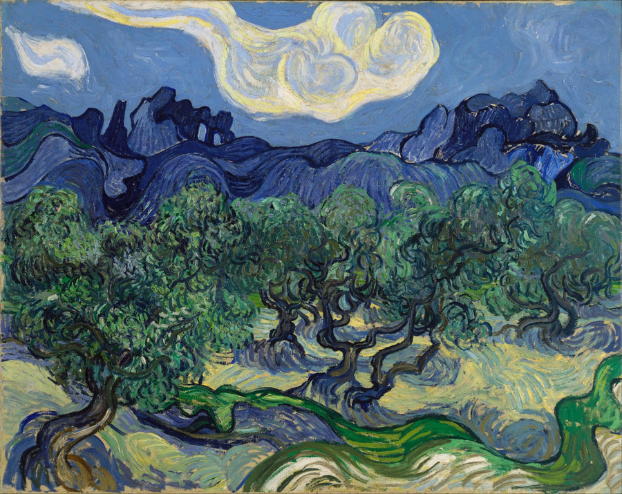 Olivträd med Alpillerna i bakgrunden - Vincent van Gogh
