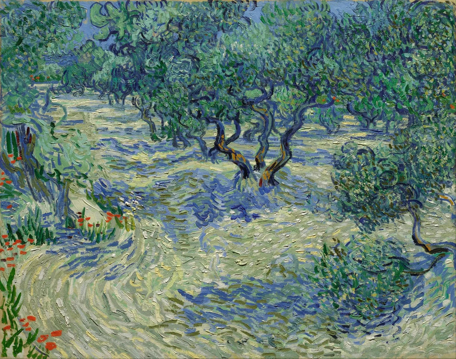 Olivlund - Vincent van Gogh