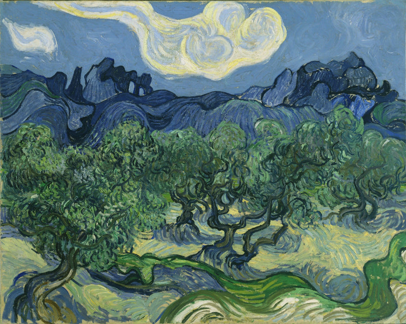 Olivträd - Vincent van Gogh