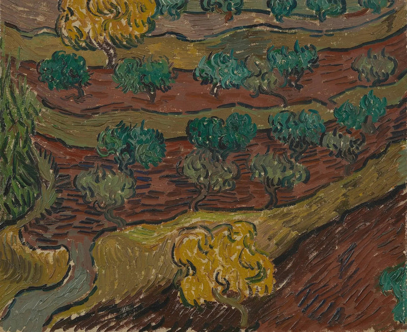 Olivträd på en kulle - Vincent van Gogh