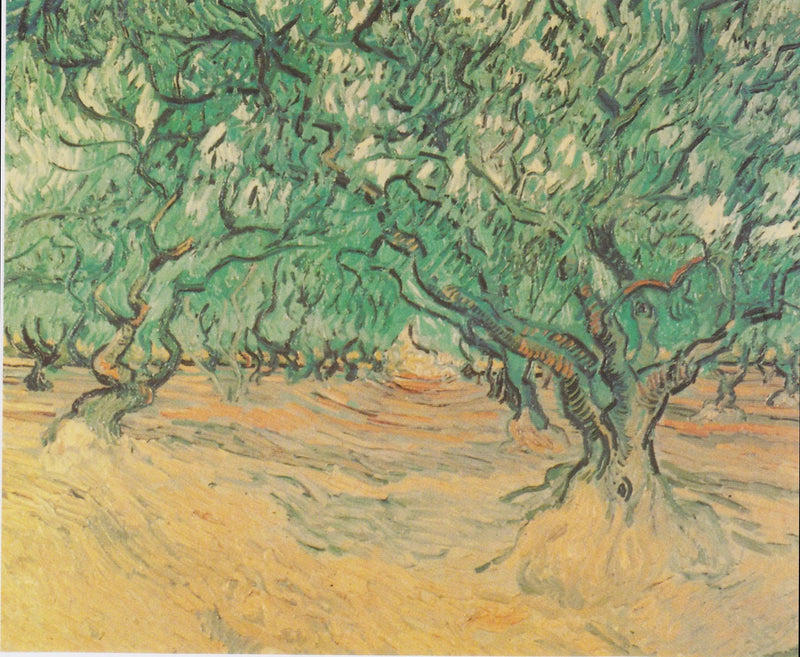 Olivträd - Vincent van Gogh