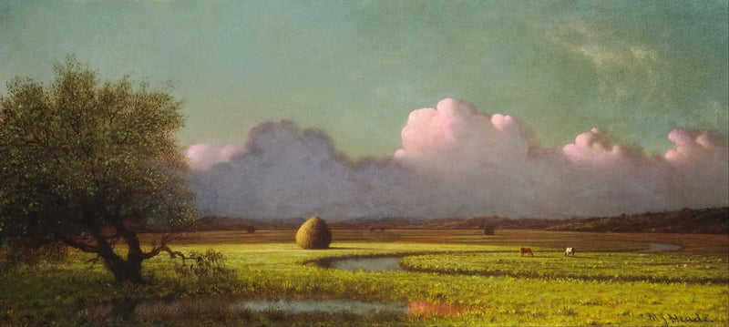 Ombre och ljus: Newbury träsk - Martin Johnson Heade