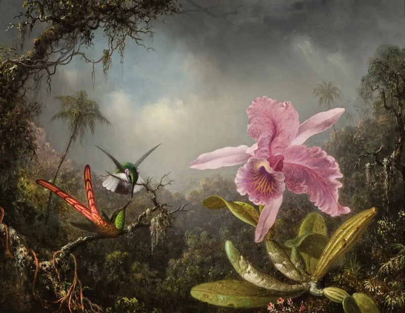 Orkidé med två kolibris - Martin Johnson Heade