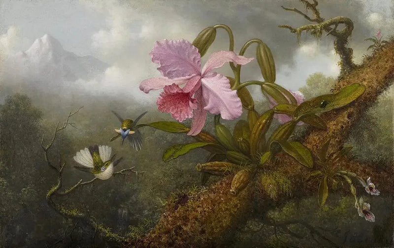 Orkidé Cattleya, två kolibrier och en skalbagge - Martin Johnson Heade