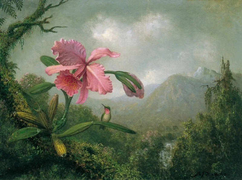 Orkidé och kolibri nära ett bergsslag - Martin Johnson Heade