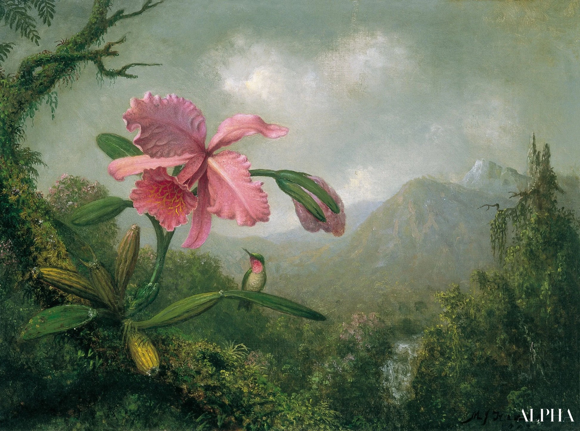 Orchidée et colibri près d'une cascade de montagne - Martin Johnson Heade - Reproductions de tableaux et peintures haut de gamme