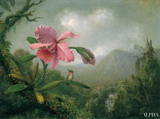 Reproduction du tableau « Orchidée et colibri près d'une cascade de montagne - Martin Johnson Heade » par Alpha Reproduction en peinture à l’huile