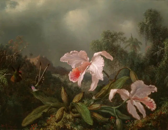 Orkidéer från djungeln och kolibrier - Martin Johnson Heade