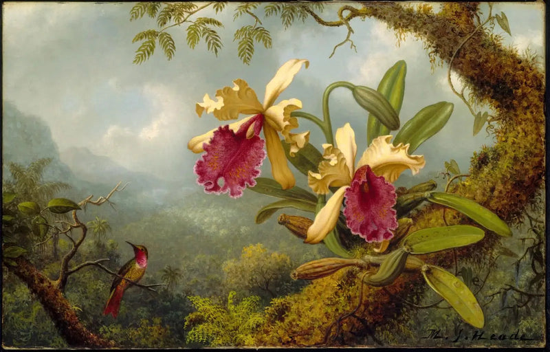 Orkidéer och kolibri - Martin Johnson Heade