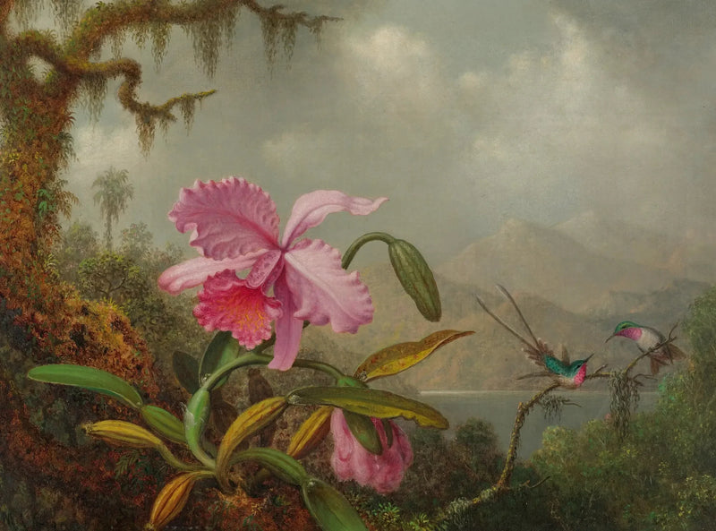 Orkidéer och kolibris - Martin Johnson Heade