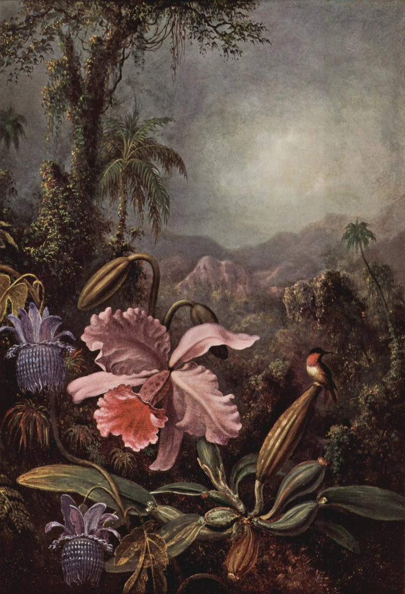 Orkidéer, passifloror och kolibrier - Martin Johnson Heade