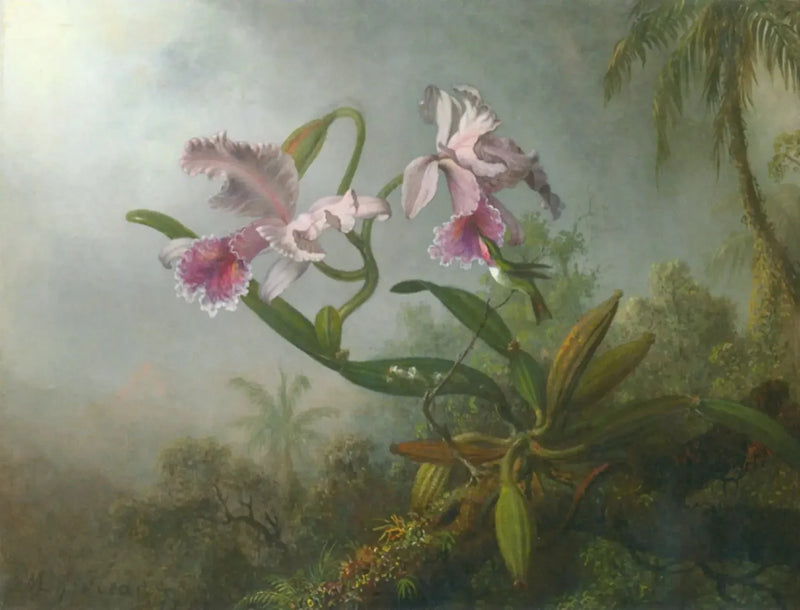 Rosa orkidéer och kolibri på en kvist - Martin Johnson Heade