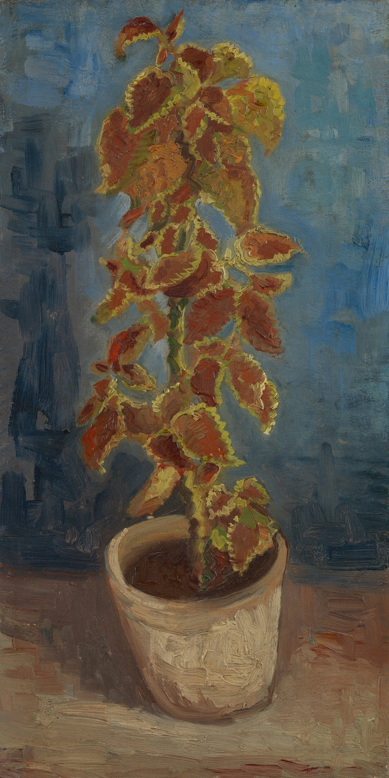 Eldig brännässla i blomkruka - Vincent van Gogh