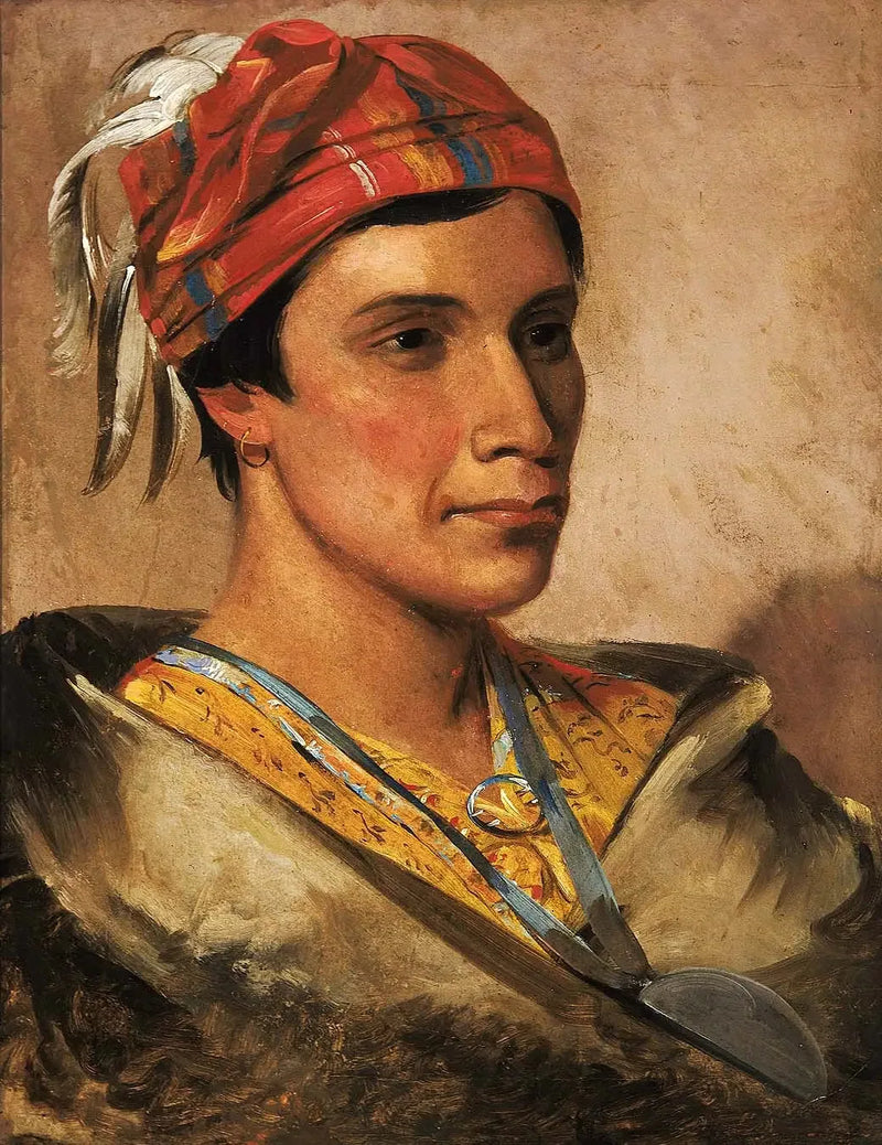 Smärta, stamledare - George Catlin