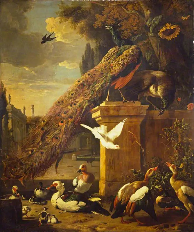 Påfåglar och ankor - Melchior de Hondecoeter