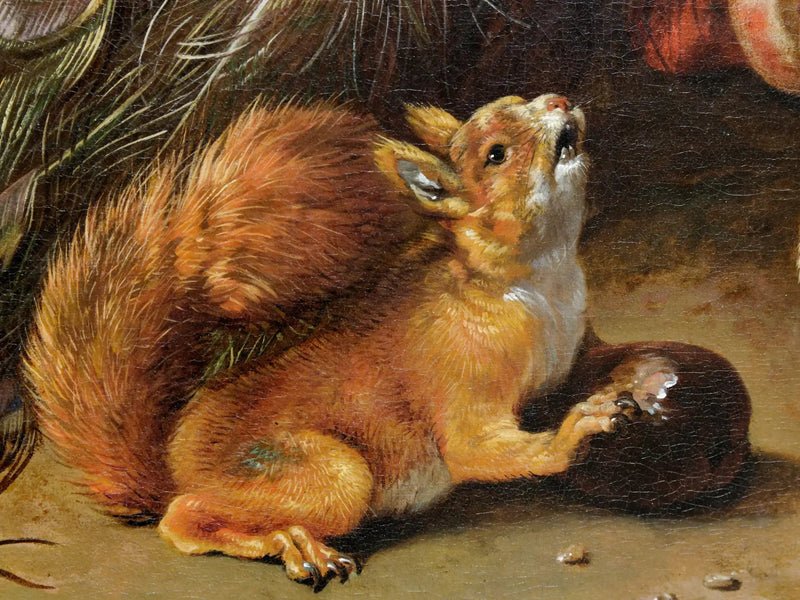 Påfåglar - Melchior de Hondecoeter