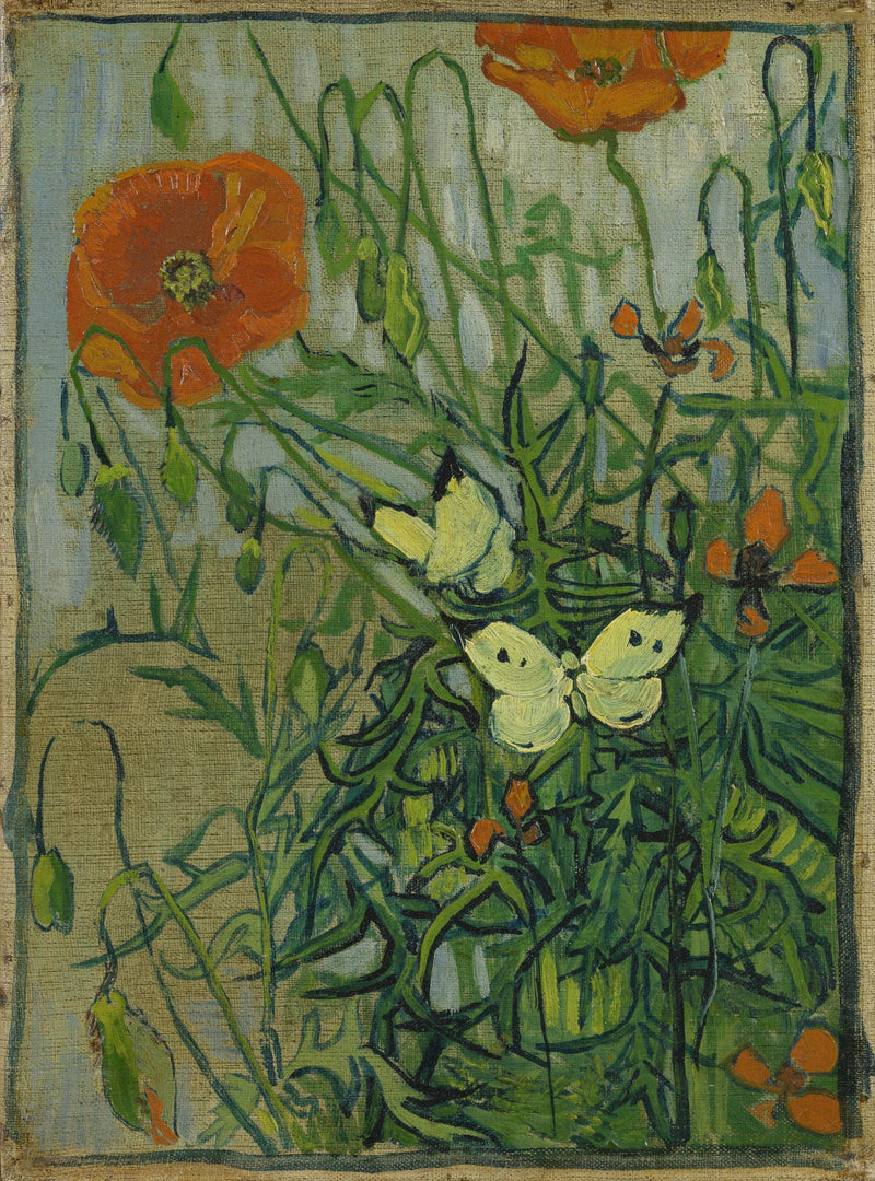 Fjärilar och vallmo - Vincent van Gogh