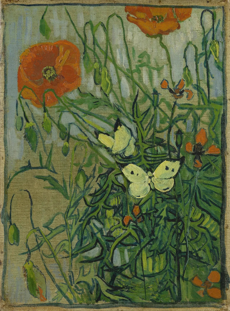 Fjärilar och vallmo - Vincent van Gogh