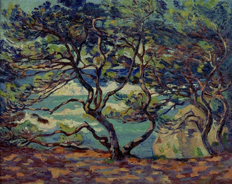 Parasoll Le Pin, Le Brusc, omgivningar av Toulon - Armand Guillaumin