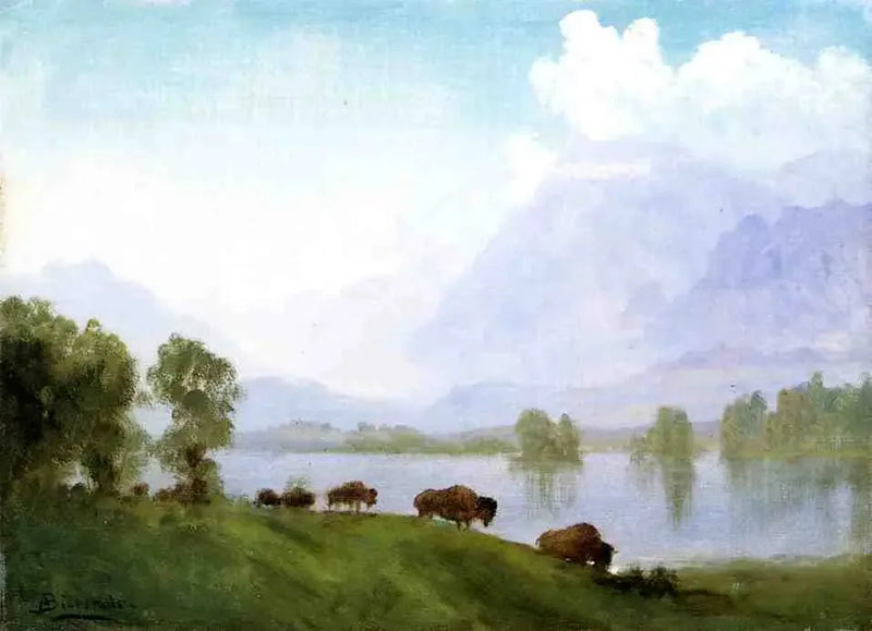 Bisonland - Albert Bierstadt