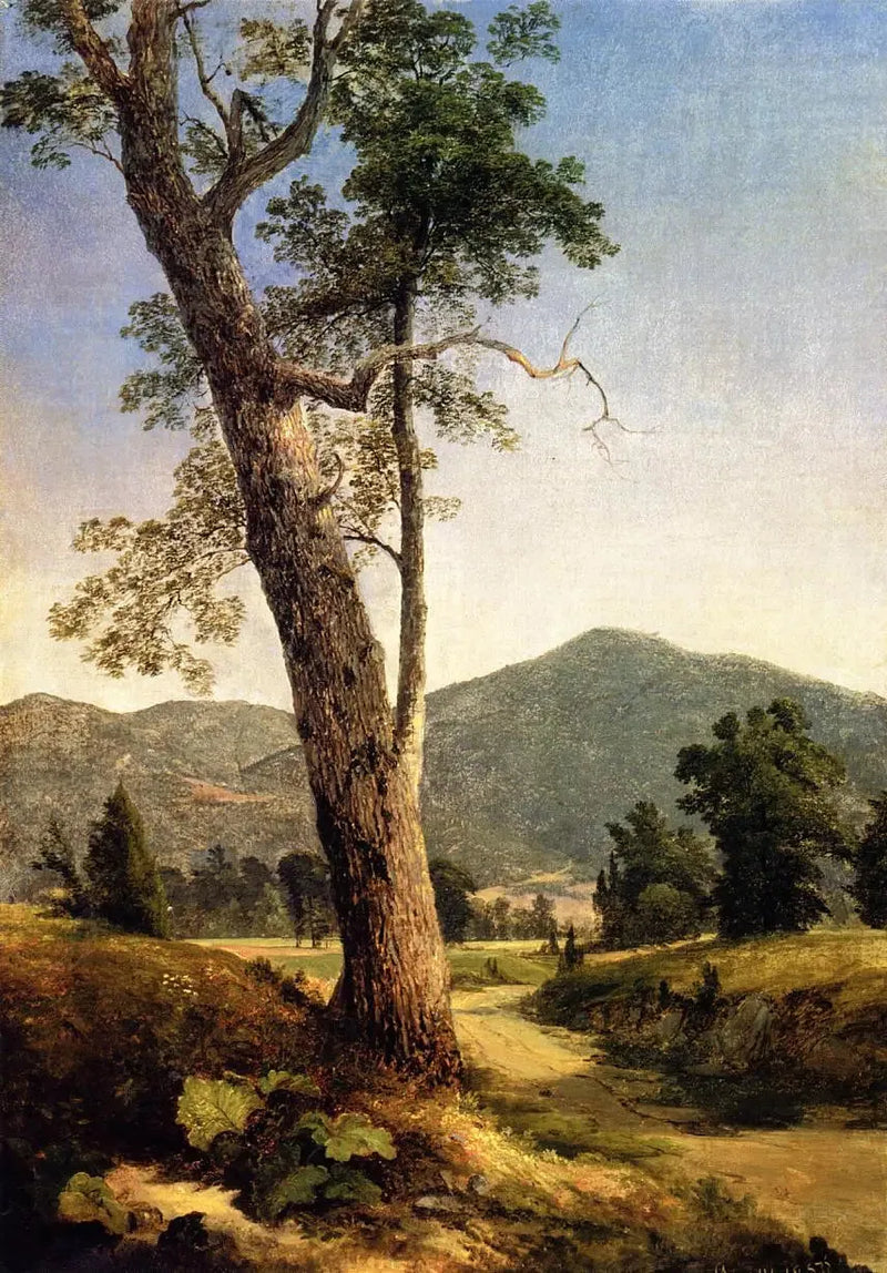 Landskap bortom trädet - Asher Brown Durand