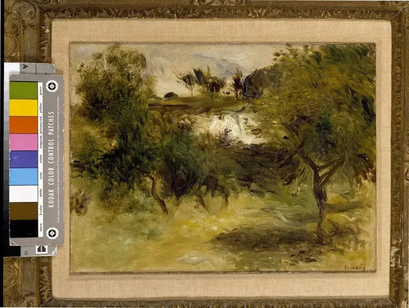 Landskap med träd - Pierre-Auguste Renoir