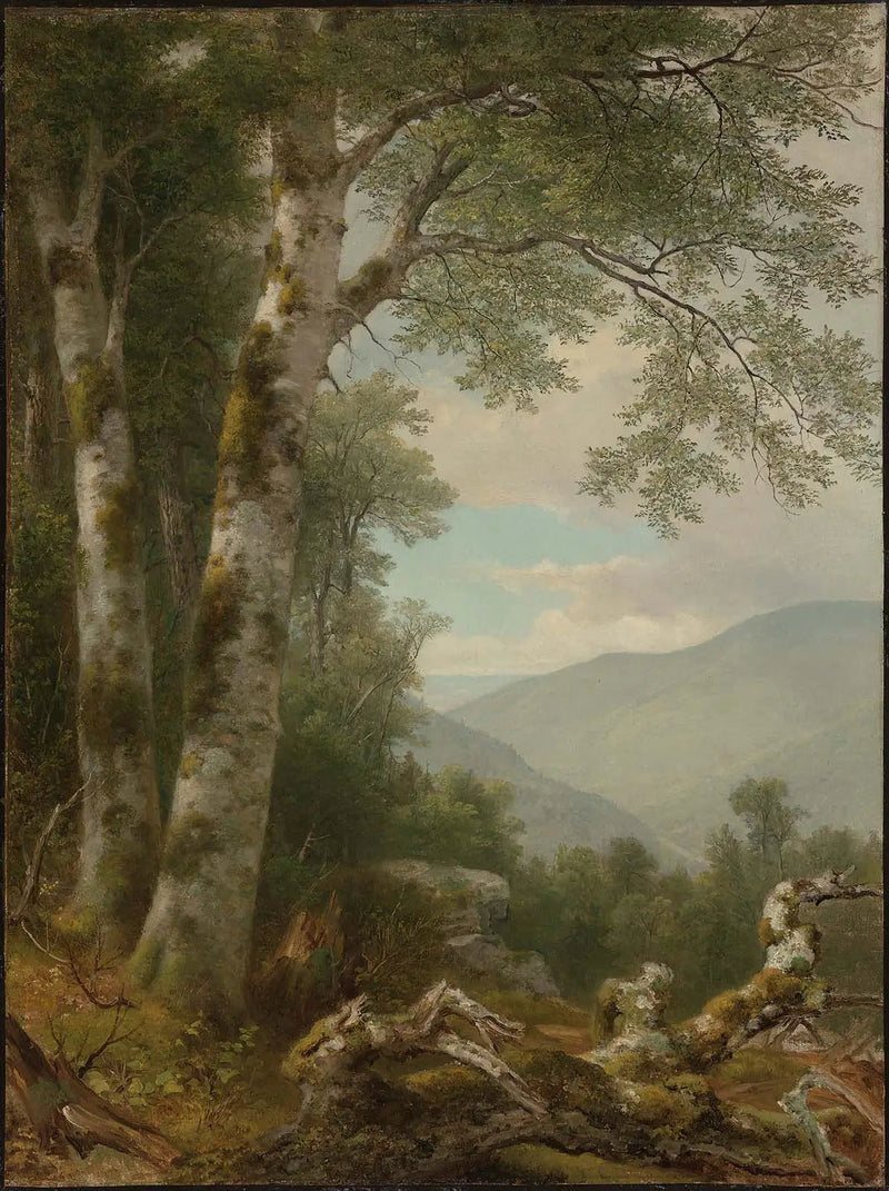 Landskap med björkar - Asher Brown Durand