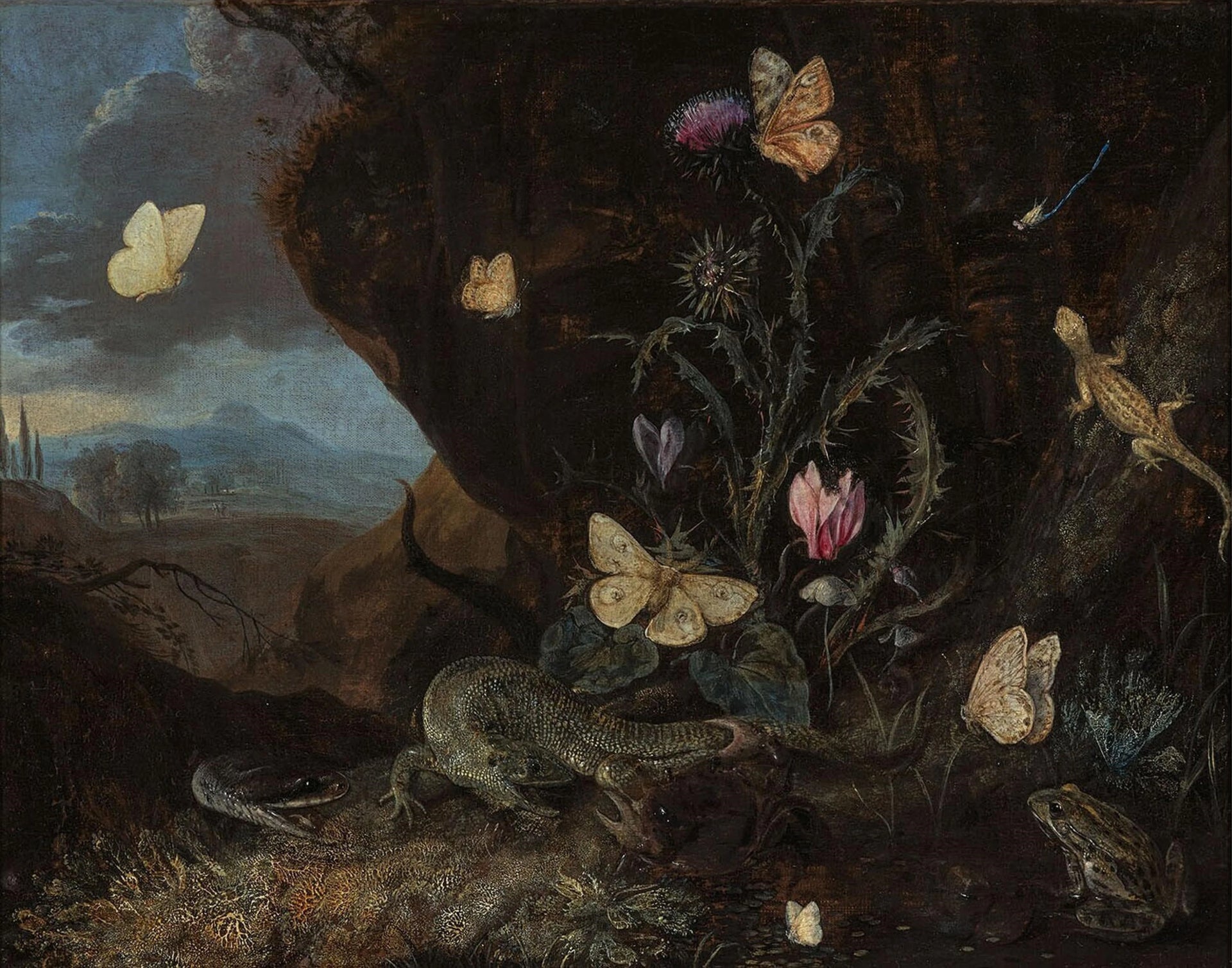 Paysage avec insectes, cyclamen et chardon - Otto Marseus van Schrieck