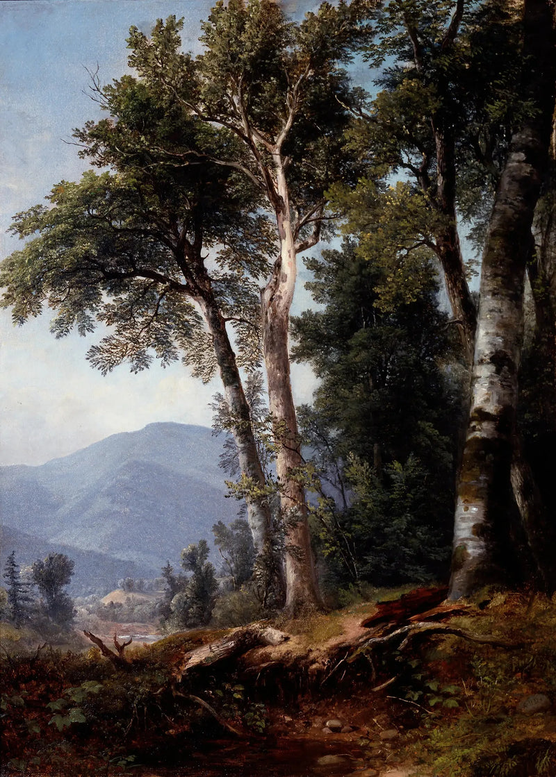 Skogsscenario - Asher Brown Durand