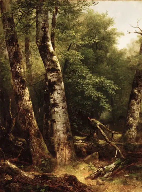 Landskap (björkar och ekar) - Asher Brown Durand