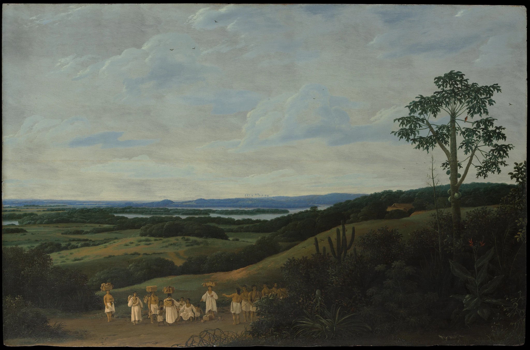 Un paysage brésilien - Frans Post
