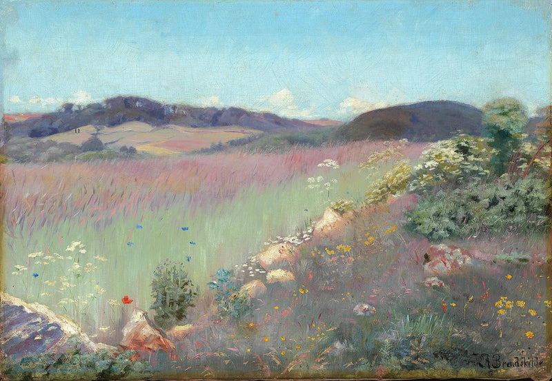 Dansk sommarlandskap med vallmo och blåklint. - H. A. Brendekilde