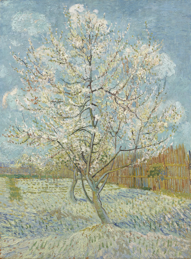 Den rosa persikotr d6det - Vincent van Gogh