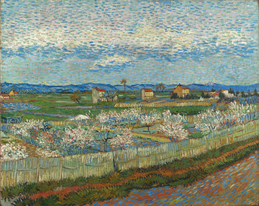 Blommande persikor - Vincent van Gogh