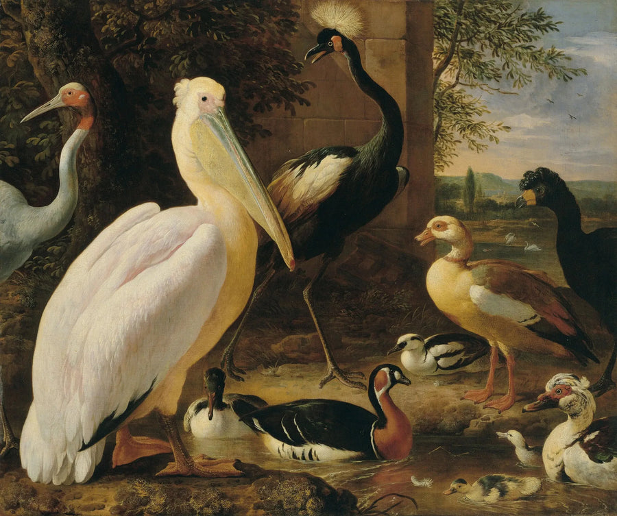 Pelikan, kronad trana, hoocco, antigone-trana och änder i ett flodlandskap - Melchior de Hondecoeter