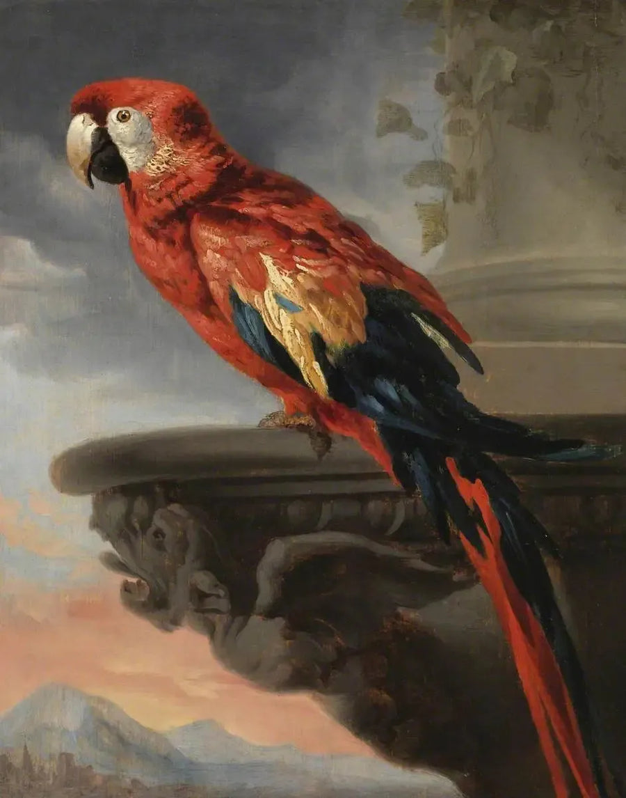 Papegoja - Peter Paul Rubens