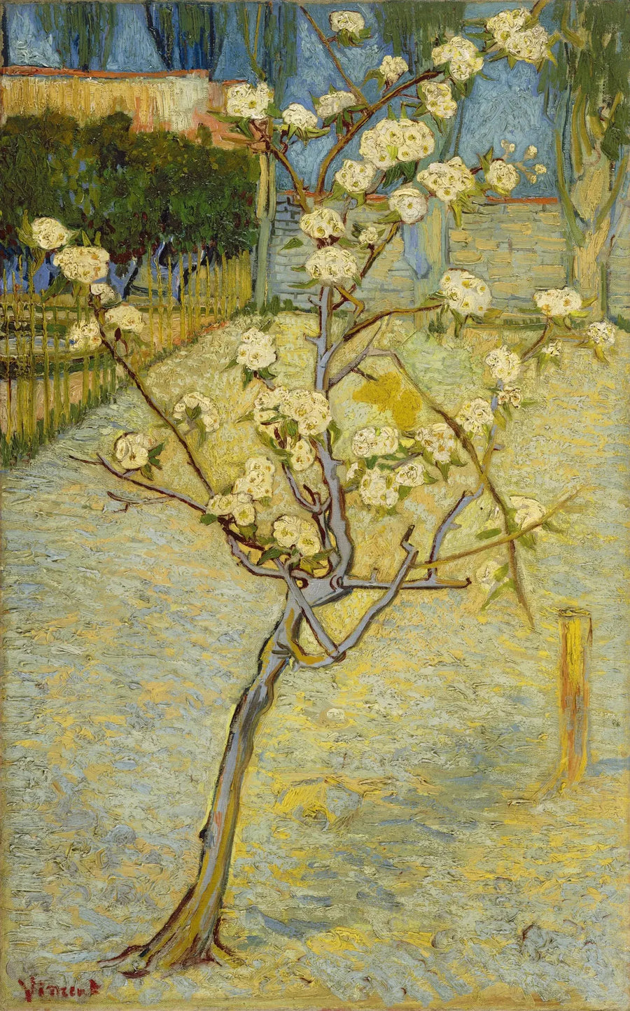 Litet blommande päronträd - Vincent van Gogh