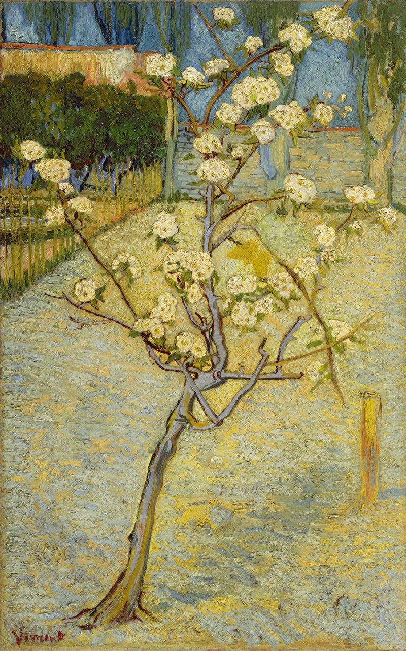 Litet blommande päronträd - Vincent van Gogh